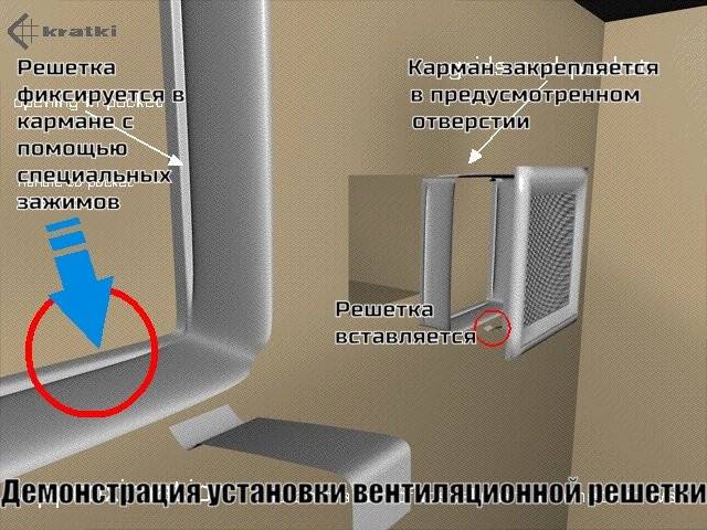 11x32 Venus никелированная