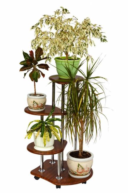 Подставка Калифорния Троечка, орех Подставка Калифорния Троечка, орех